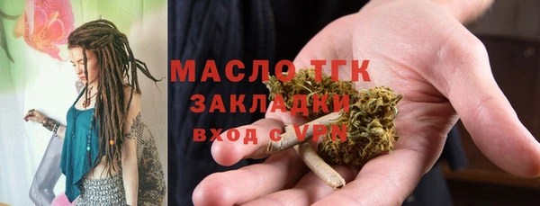 PSILOCYBIN Ельня