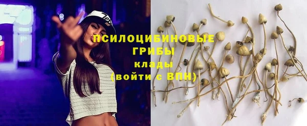 ECSTASY Елабуга
