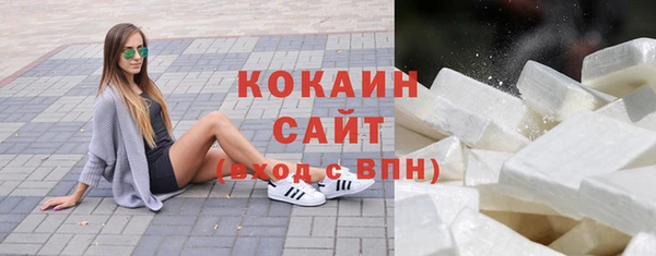 молекула духа Елизово