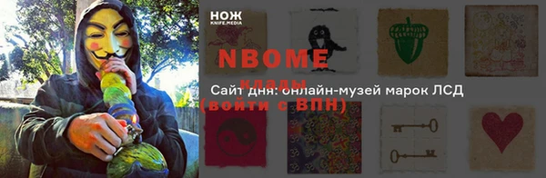 молекула духа Елизово