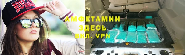 PSILOCYBIN Ельня