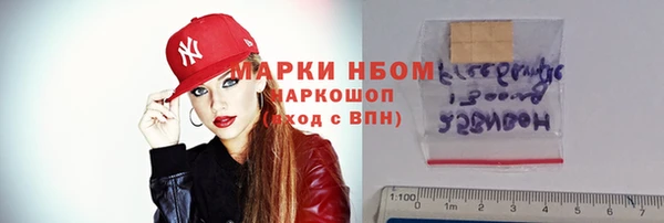PSILOCYBIN Ельня