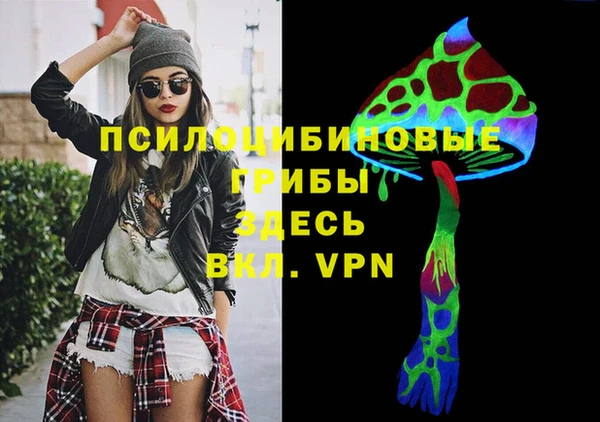 молекула духа Елизово