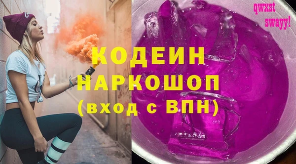 PSILOCYBIN Ельня