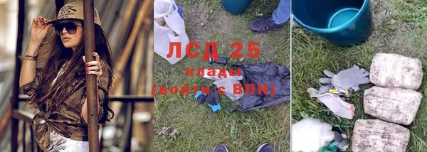 PSILOCYBIN Ельня