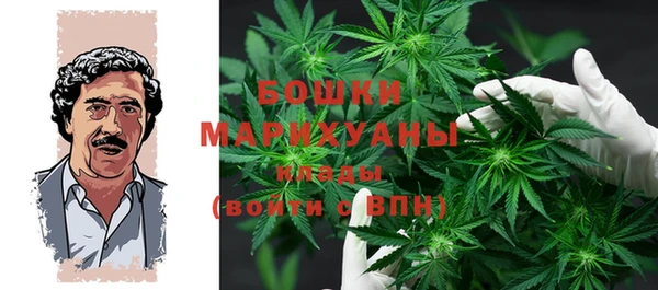 молекула духа Елизово