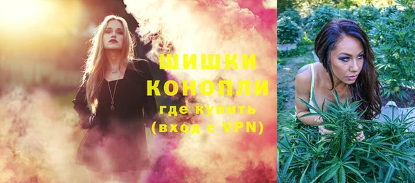 PSILOCYBIN Ельня