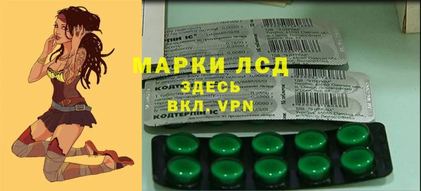 молекула духа Елизово