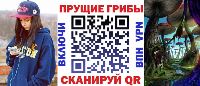Псилоцибиновые грибы Magic Shrooms  Зеленогорск 